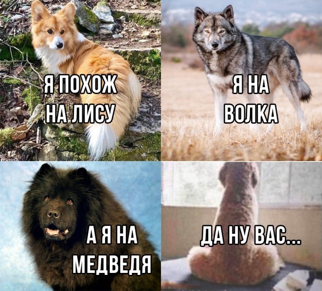 Понедельника картинки