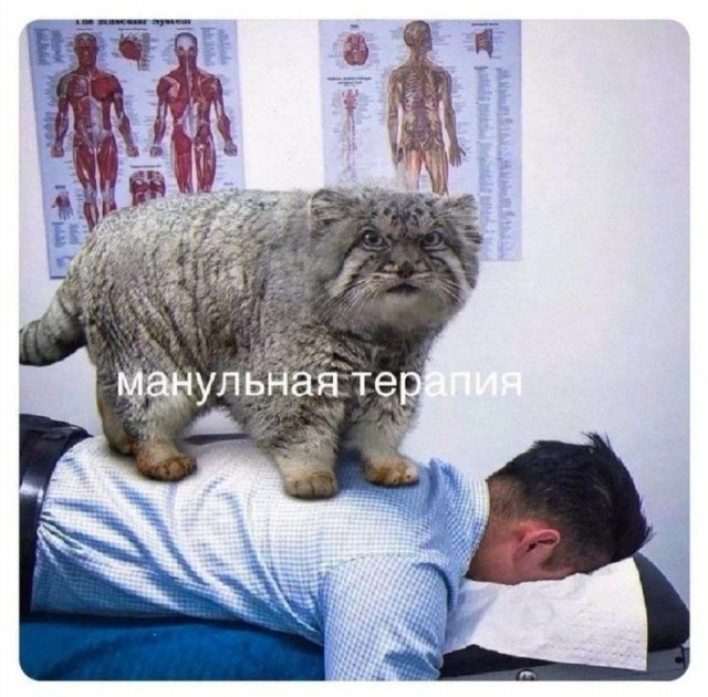 Понедельника картинки
