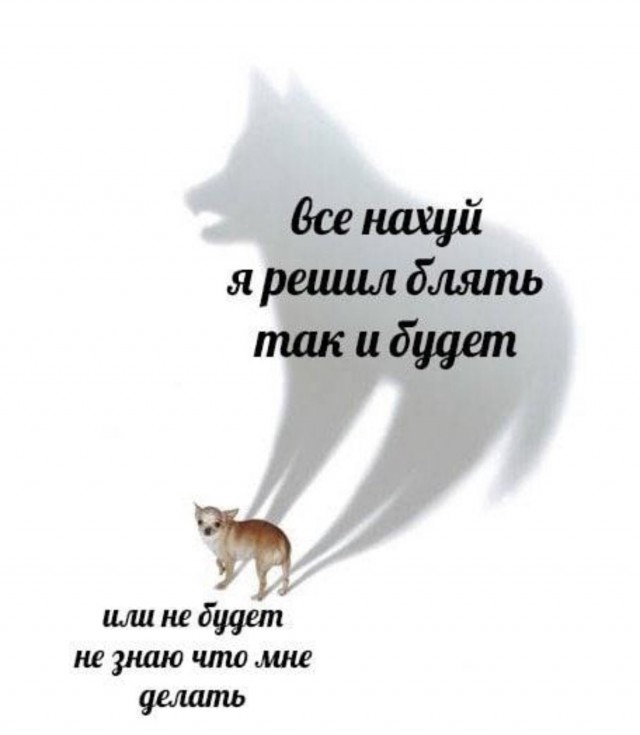 Пятничные картинки