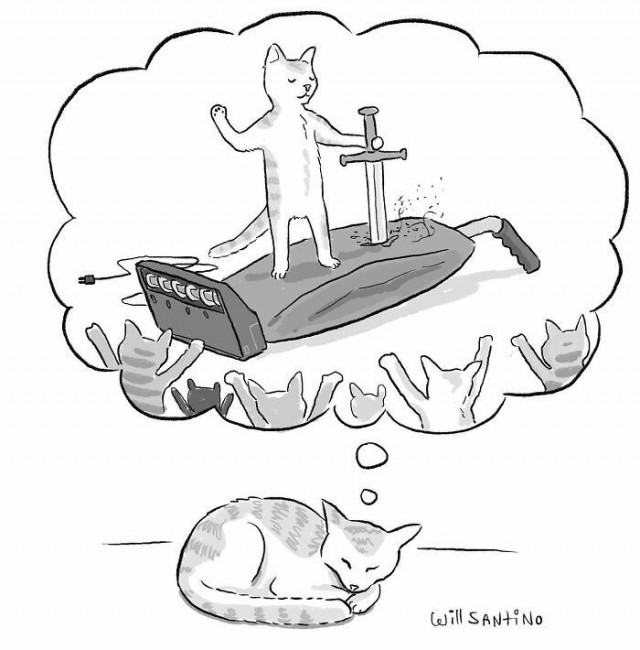 Подтяжка морды