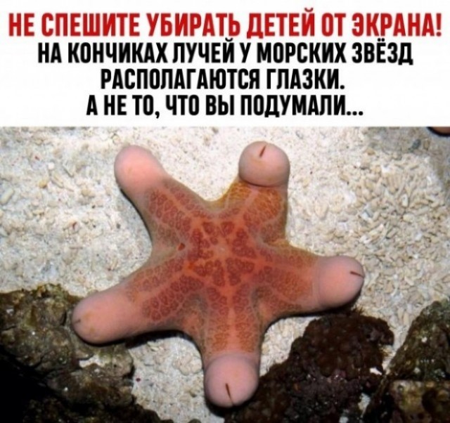 Ударим по баянам ?‍↔️