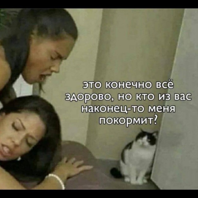 Так себе картинки 18.02.26
