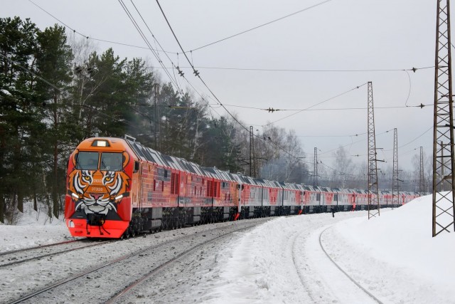 Хищный красавец из Брянска