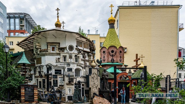 Пингвины провожали до лодки
