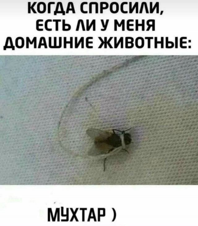 Воскресные картинки