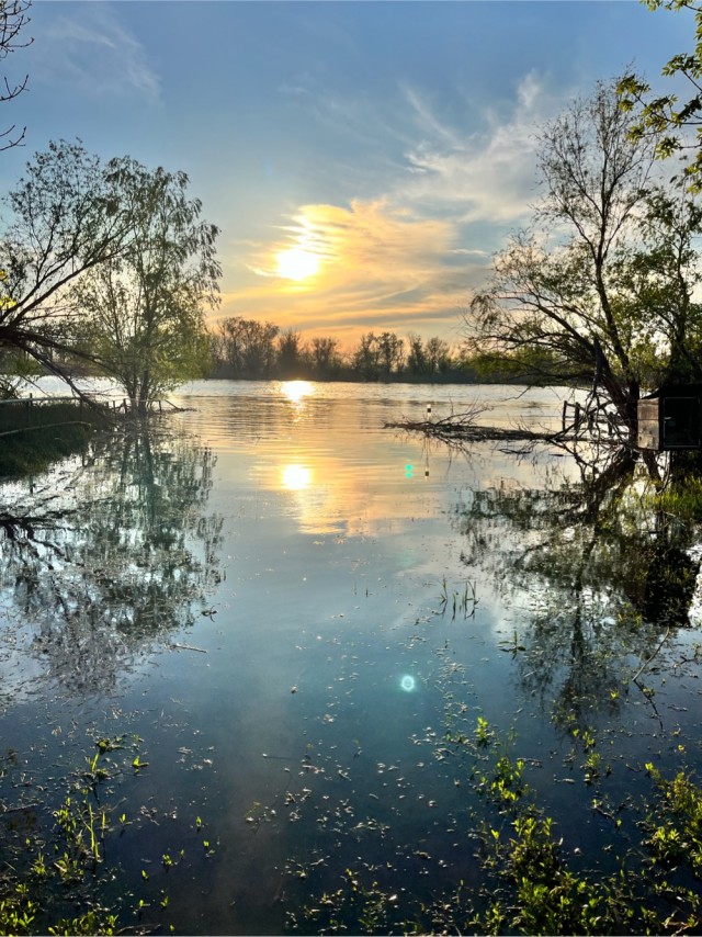 Пусть будет рыбосреда, если позволите