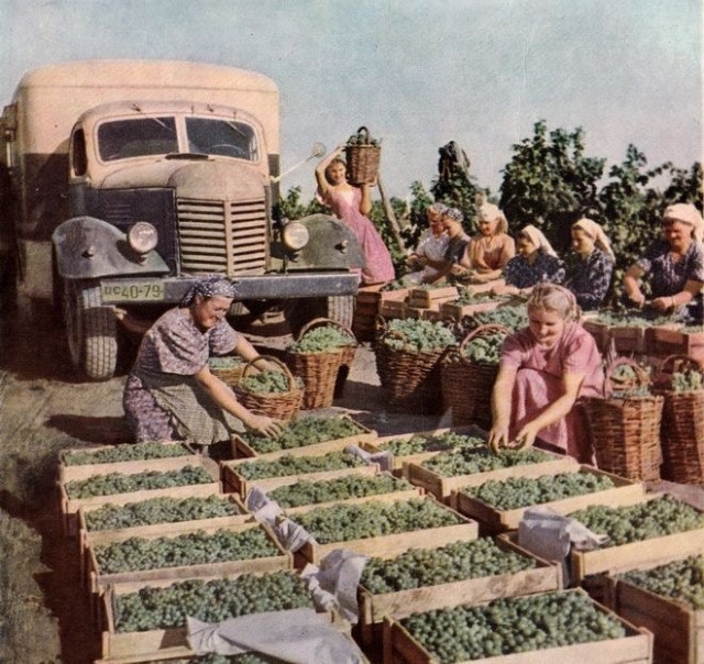 Фотографии из прошлого нашей страны – 146