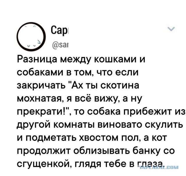 Картинки для деградации 205 (разной степени свежести)