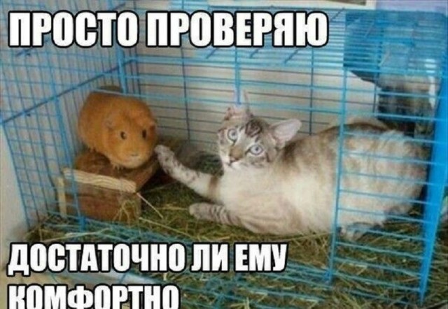 Так себе картинки 15.06.26