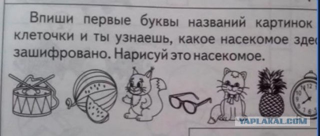 Она будет носить мужа на руках