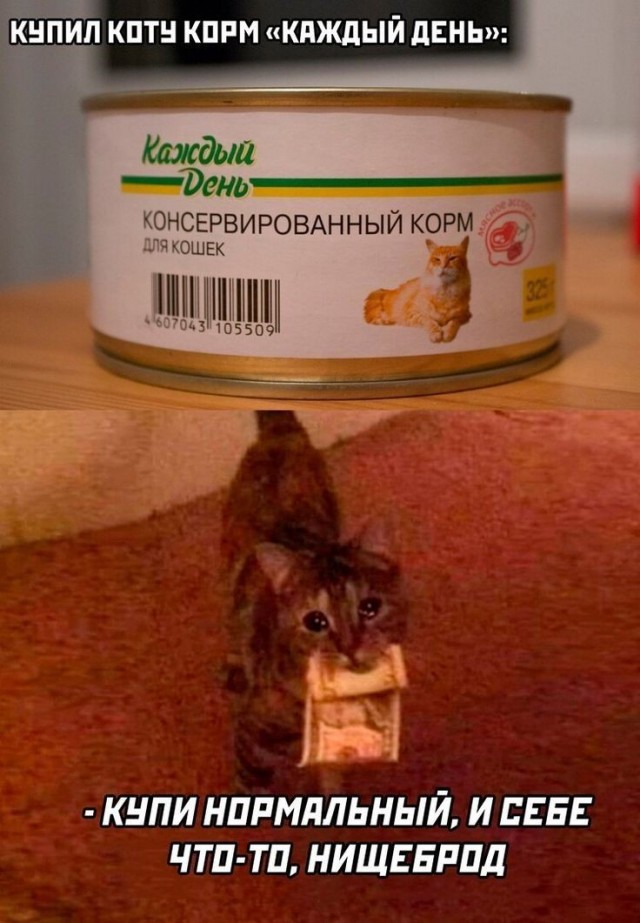 «Купила коту консервы⁠⁠»