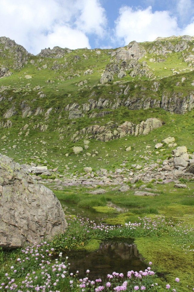 В горах. Абхазия.