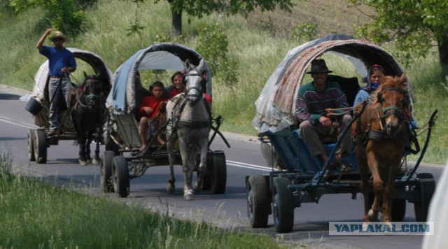 Цыгане за "работой"