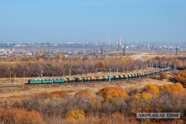 Победители фотоконкурса