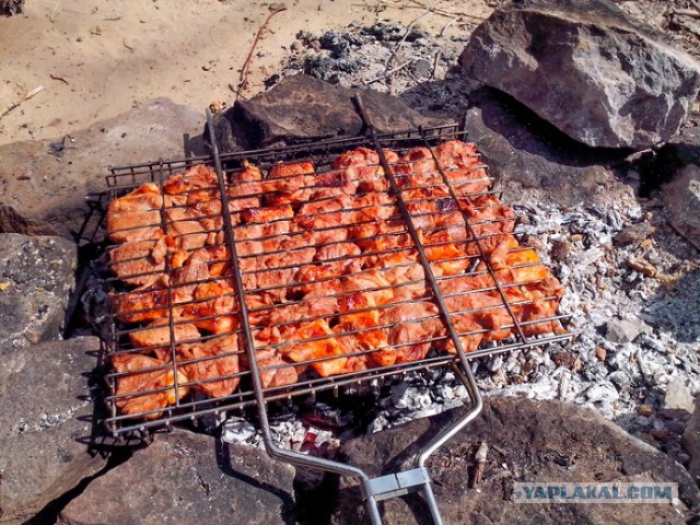 Шашлык, рецепты маринада, все про шашлык!