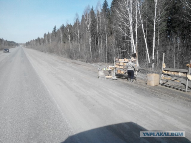 Странствия желтой скамейки)