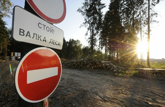 Народ встал на защиту Химкинского леса
