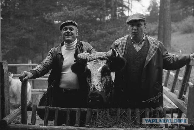 На съёмочных площадках популярных фильмов