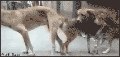 Не толерантно!