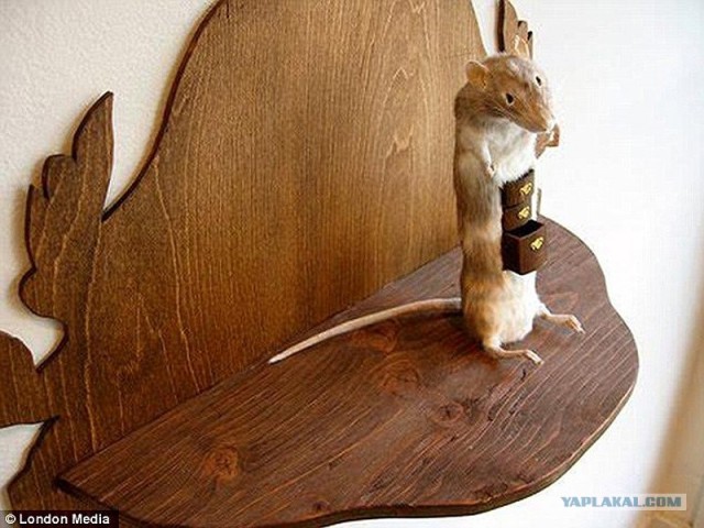 Чучело лисы