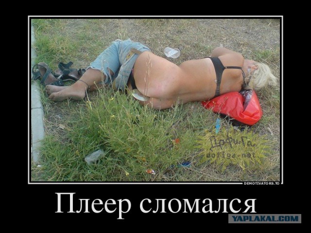 Подборка картинок из соцсетей