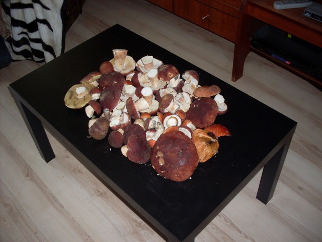 Поход за грибами