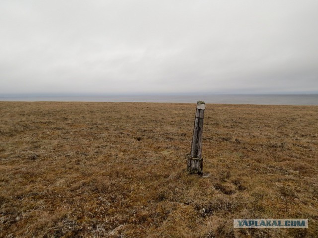 Родная жуть