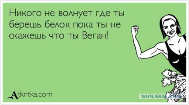 А обязательно всем говорить, что ты веган?