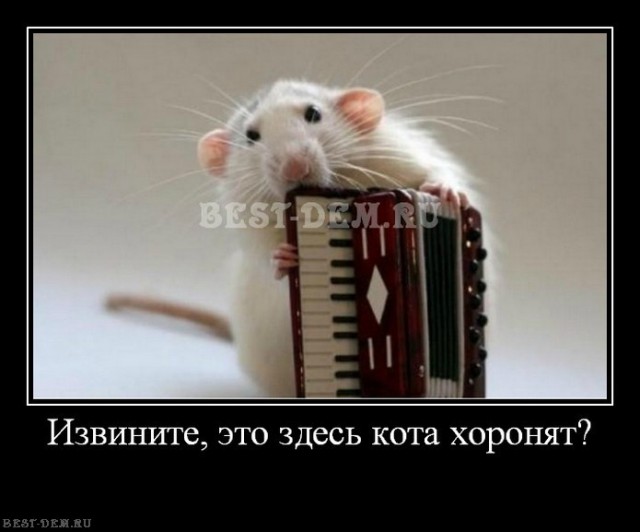 Принесли на распечатку штендер