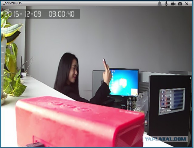 За что я люблю китайцев