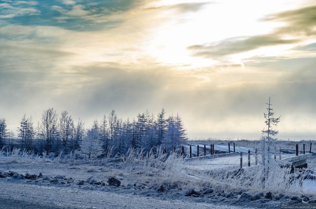Колыма: первая корюшка 2016, как это было...