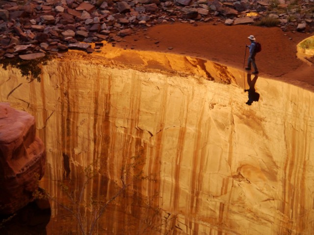 Интересные и веселые картинки