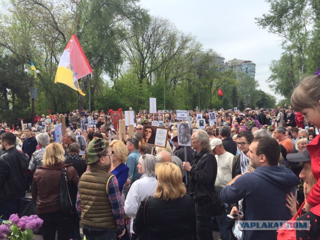 Одесса. 9 мая 2016 года