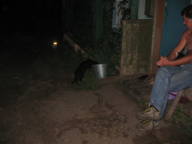 Смелые ЯПовцы.