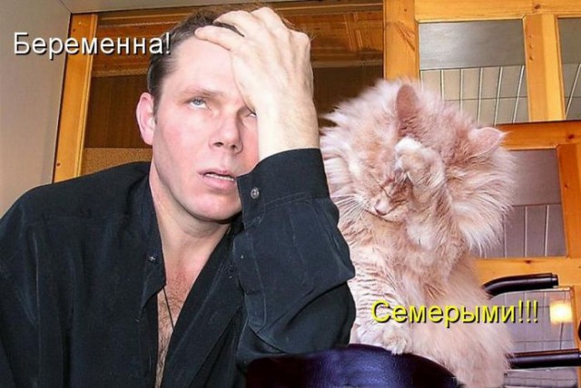 Картинки из инета