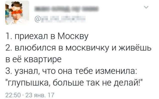 Весёлые и прикольные картинки