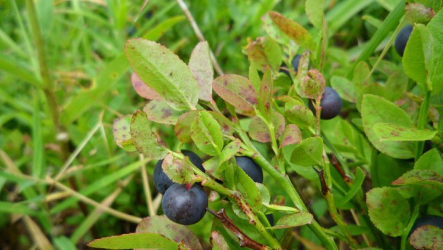 Туризм-лайт как он есть. В картинках.
