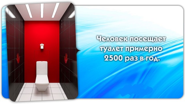 56 неожиданных фактов о большинстве которых вы не знали.