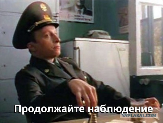 Голуби на балконе