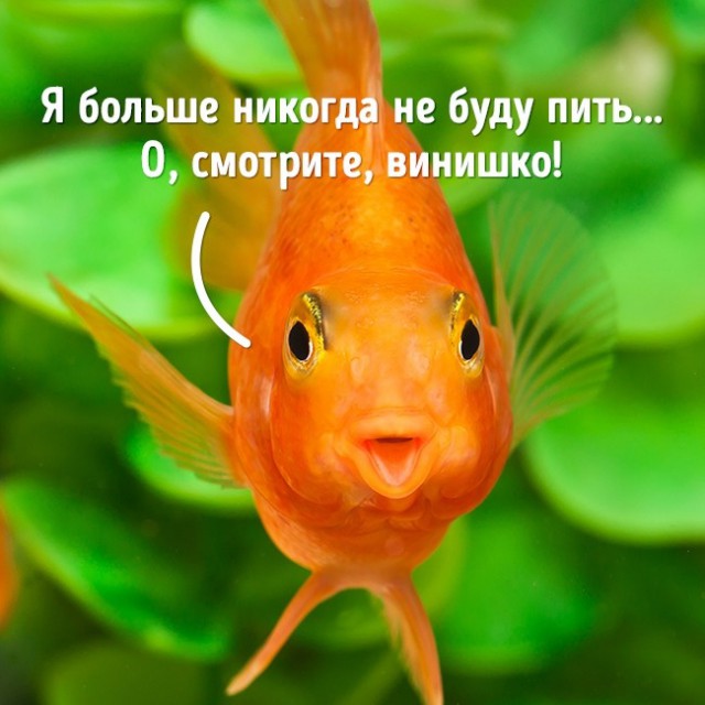 12 доказательств того, что наша жизнь — ложь