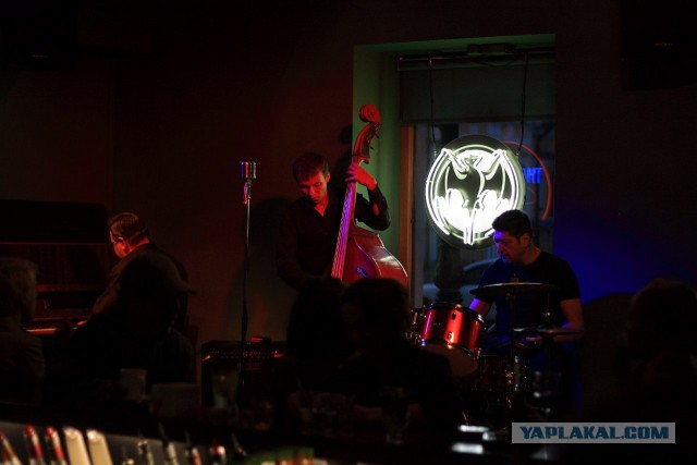 Питерские и околопитерские картинки