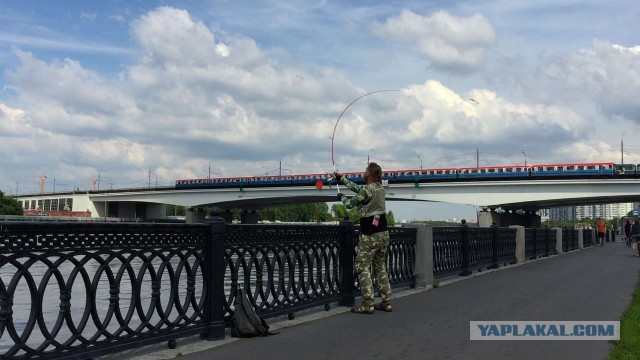 Стритфишинг на Москва-реке или кто такой берш?
