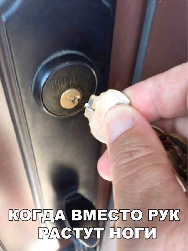 Всякая всячина