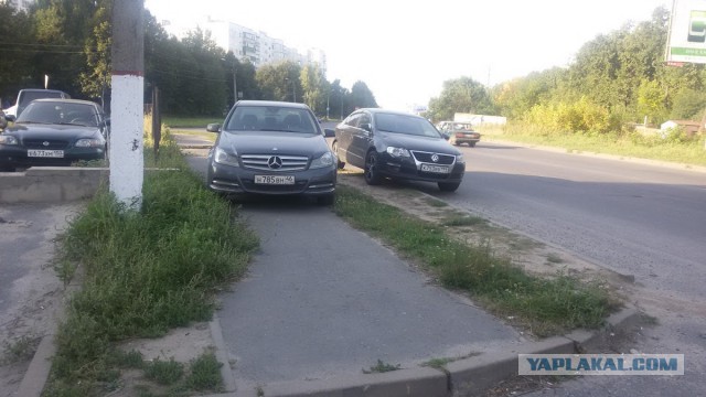 Как я стал крысой