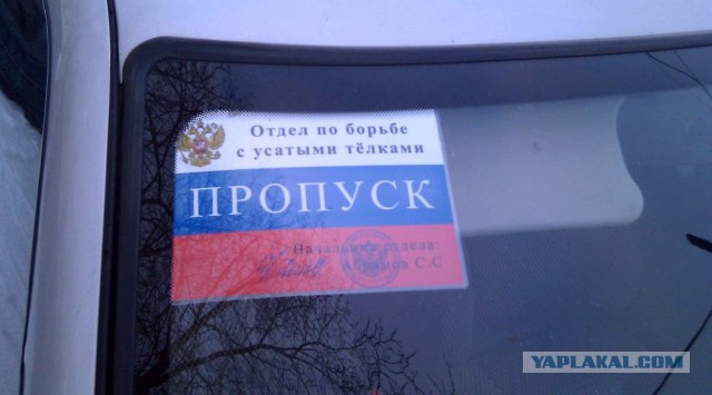 Центнер Идиотизма