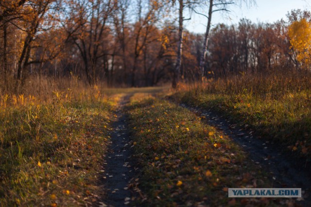 Просто Природа