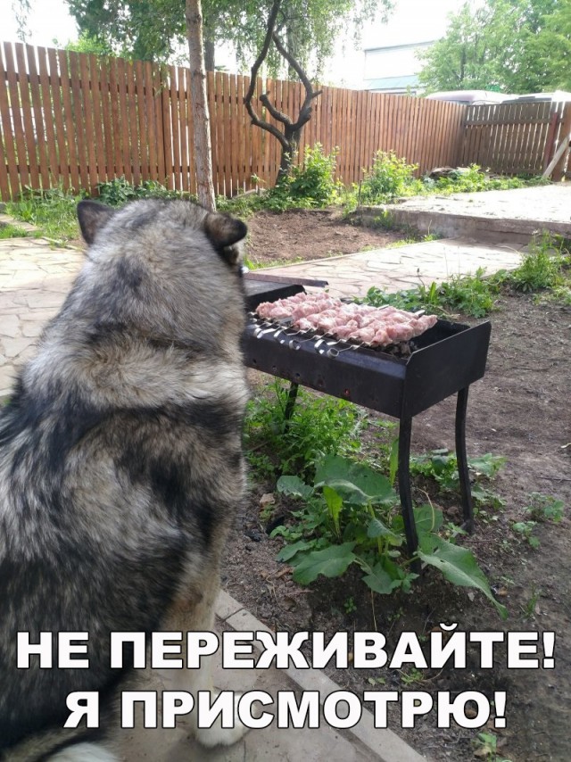 Нестандартный юмор
