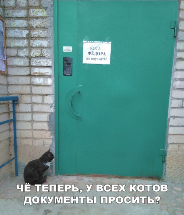 Нестандартный юмор