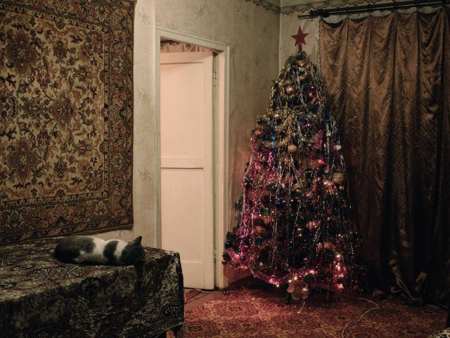 Прикольных котов пост