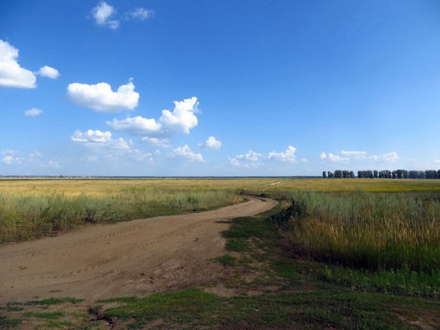 Красота сельских дорог